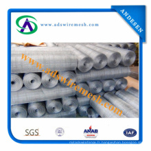 Hot-Inpped Galvanized Square Wire Mesh (vente chaude et prix d&#39;usine)